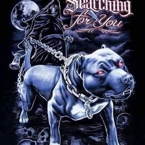 Meet your Posher, Silas